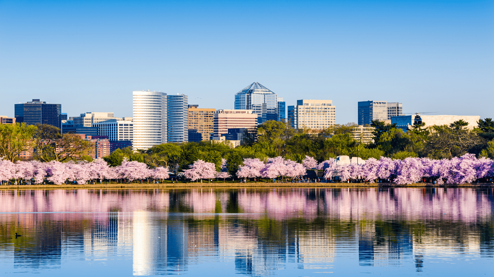 Stream's East State Of The Market Event Offers Networking Opportunities,  Insight Into Commercial Real Estate Trends